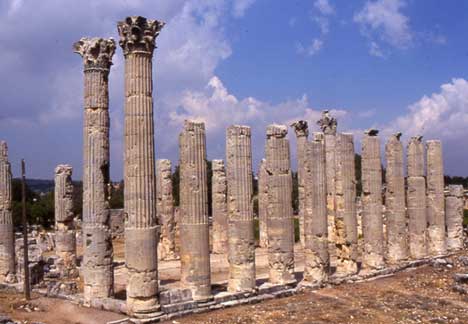 Zeus Tapınağı